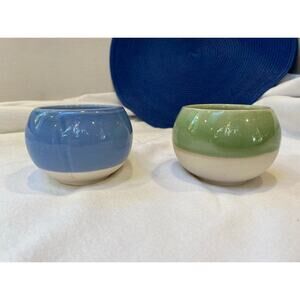 Seedling Starter Succulent Planter Pot Set 2"x3" Blue Green